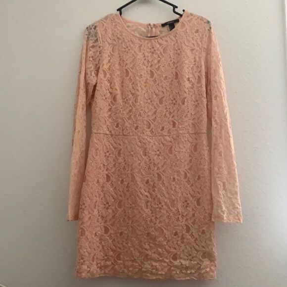 Blush Forever 21 Lace Dress - Picture 1 of 4